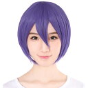【売切セール 返品交換不可】 ウィッグ ショート ボブ フルウィッグ コスプレ ウイッグ ショート フルウイッグ パープル 紫髪 耐熱 かつら 男装 富士達 ふ...