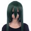 【セール 返品交換不可】 ウィッグ ロング ミディアム フルウィッグ コスプレ ウイッグ セミロング フルウイッグ アッシュ グリーン 緑髪 ふかし 加工 耐熱 かつら 男装 富士達 ふじたつ 【ロング】 ビリジアン 1,980円