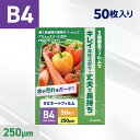 ラミネートフィルム B4サイズ(250ミクロン) 【50枚入り】 ラミネーターフィルム パウチフィルム 掲示物 ラミネート 加工 防水