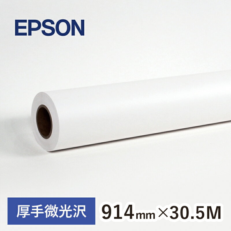 エプソン 純正紙 PXMC36R14 プロフェッショナルフォトペーパー（厚手微光沢）幅約914mm×長さ30.5M EPSON