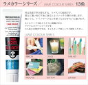 【ネイル用アクリル絵具】タナー　アクリルガシュ　ラメカラーシリーズ 20ml【15本までメール便可能】