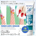 【ネイル用アクリル絵具】タナー　アクリルガシュ　カラーパールシリーズ 20ml【15本までメール便可能】