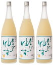 【柚子酒】梅乃宿 あらごしゆず 1800ml×3本セット 【梅の宿】【梅乃宿酒造】【ゆずリキュール】