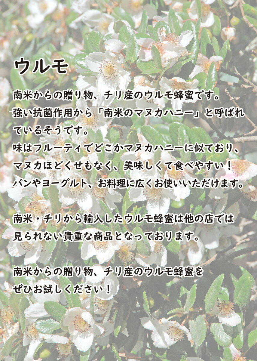【公式】 送料無料 藤原養蜂場 本店から直送 ウルモ蜂蜜 ガラス容器 160g 南米のマヌカ 蜂蜜 はちみつ ハチミツ 純粋 藤原蜂蜜 はちみつ専門店 老舗 盛岡 岩手 ふじわら ギフト 抗菌 健康 免疫 ウルモハニー 南米チリ 明治34年創業 チリ産 非加熱 美味しい蜂蜜