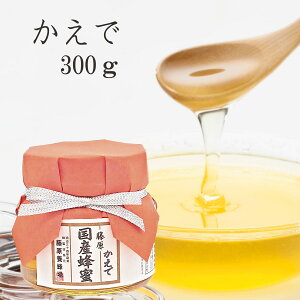 藤原養蜂場 本店から直送 藤原国産蜂蜜 かえでの花 ガラス容器 300g 国産 蜂蜜 はちみつ ハチミツ 純粋はちみつ 楽天市場公式ショップ はちみつ専門店 老舗 盛岡 岩手 ふじわら ギフト 抗菌 健康 免疫 ハニー カエデ 明治34年創業 岩手県産 非加熱 美味しい蜂蜜