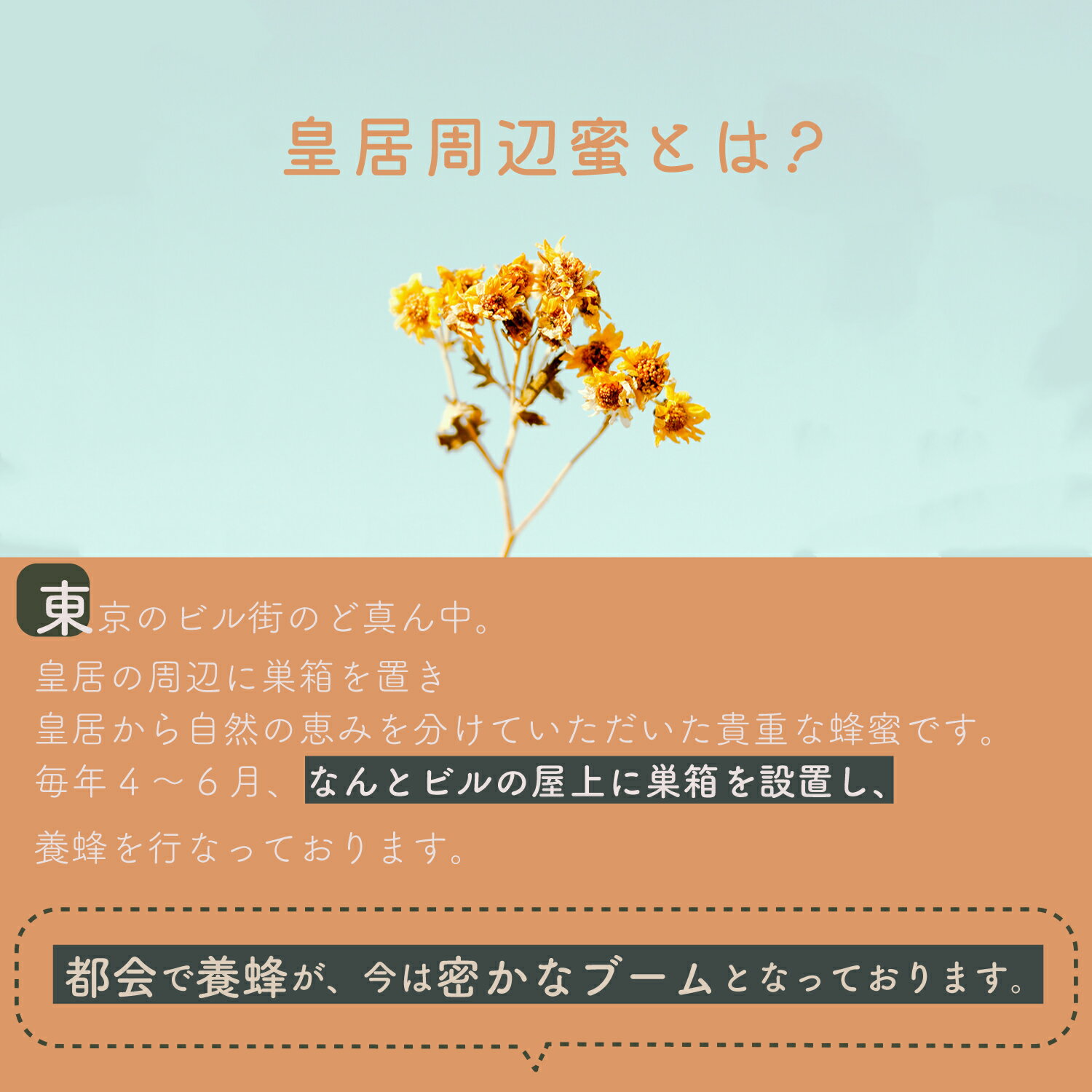 藤原養蜂場 本店から直送 皇居周辺蜜 ゆりの木 ガラス容器 300g 国産 蜂蜜 はちみつ ハチミツ 都会で採れた蜂蜜 楽天市場公式ショップ はちみつ専門店 老舗 盛岡 岩手 ふじわら ギフト 抗菌 健康 免疫 ハニー チューリップツリー 明治34年創業 非加熱 美味しい蜂蜜 3