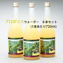 【公式】送料無料 藤原養蜂場 本店から直送 プロポリスウォーター 720ml 6本入 ローヤルゼリー プロポリス ビタミンC配合 蜂蜜 はちみつ ノンアルコール...