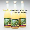 送料無料 藤原養蜂場 本店から直送 プロポリスウォーター 720ml 6本入 ローヤルゼリー プロポリス ビタミンC配合 蜂蜜 はちみつ ノンアルコール 楽天市場公式ショップ はちみつ専門店 老舗 盛岡 岩手 ふじわら ギフト 健康 免疫 明治34年創業 その1