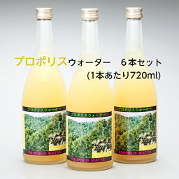 送料無料 藤原養蜂場 本店から直送 プロポリスウォーター 720ml 6本入 ローヤルゼリー プロポリス ビタミンC配合 蜂蜜 はちみつ ノンアルコール 楽天市場公式ショップ はちみつ専門店 老舗 盛岡 岩手 ふじわら ギフト 健康 免疫 明治34年創業