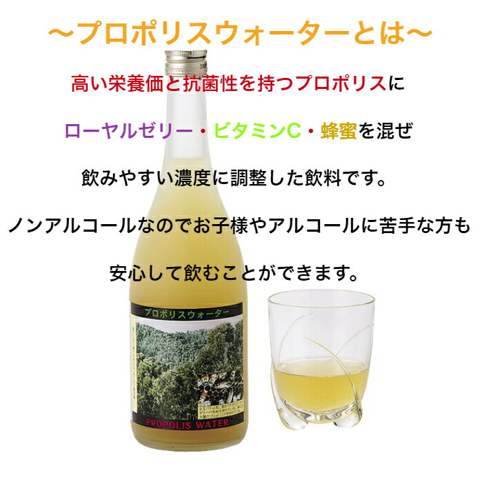 �ڸ���������̵�� ƣ����˪�� ��Ź����ľ�� �ץ��ݥꥹ���������� 720ml 6���� ������를�꡼ �ץ��ݥꥹ �ӥ��ߥ�C�۹� ˪̪ �Ϥ��ߤ� �Υ󥢥륳���� ��ŷ�Ծ��������å� �Ϥ��ߤ�����Ź Ϸ�� ���� ��� �դ���� ���ե� �� �ȱ� ����34ǯ�϶�