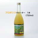 商品情報名称清涼飲料水原材料名プロポリス原粉末、生ローヤルゼリー、蜂蜜/ビタミンC内容量720ml賞味期限製造日から2年保存方法直射日光を避け、常温で保存してください。販売者(有)藤原養蜂場〒020-0807　岩手県盛岡市加賀野2丁目8-32TEL：019-624-3001製造者(株)川原商会〒020-0875　岩手県盛岡市清水町3-10TEL：019-654-1600栄養成分表示100g当たり(推定値)エネルギー　19kcalたんぱく質　0.1g脂　質　　　0g炭水化物　　4.6g食塩相当量　0g備考◆食品ですので、ご自由にお飲み頂けますが、およそ3〜7日位を目安にお飲みください。◆内容物が沈殿しますので、よく振ってからお飲みください。◆開栓後は冷蔵庫にて保管してください。 ★別サイズはコチラ★ (まとめて購入するとおトクです！)藤原養蜂場 本店から直送 プロポリスウォーター 720ml 1本入 ローヤルゼリー プロポリス ビタミンC配合 蜂蜜 はちみつ ノンアルコール 楽天市場公式ショップ はちみつ専門店 老舗 盛岡 岩手 ふじわら ギフト 健康 免疫 明治34年創業 ローヤルゼリー・蜂蜜・ビタミンC配合、プロポリスの成分を体内に簡単に吸収できるスーパー健康飲料です。 日本の養蜂の先駆者として、藤原養蜂場の初代藤原誠祐は大きな功績を残しました。その養蜂の技術を受け継ぎ、藤原養蜂場はみつばちを育てる過程から、丁寧にひとつひとつの作業を行っております。また、養蜂の技術は、日本のみならず、海外から訪れる養蜂家にもお伝えてして参りました。SDGsが叫ばれる今日、これまでもその一翼を担ってきた藤原養蜂場は、さらにみなさまに安心、安全で、健康な食品を提供できるよう、努力を積み重ねて参ります。抗菌作用があり、ビタミン・ミネラル豊富なはちみつはもちろん、花粉やローヤルゼリー、プロポリスやみつろう等、みつばちがもたらす産物は、人間にとって、さらには生態系にとって、とても大切なものであることをみなさまに知っていただく努力もして参りたいと考えております。 8