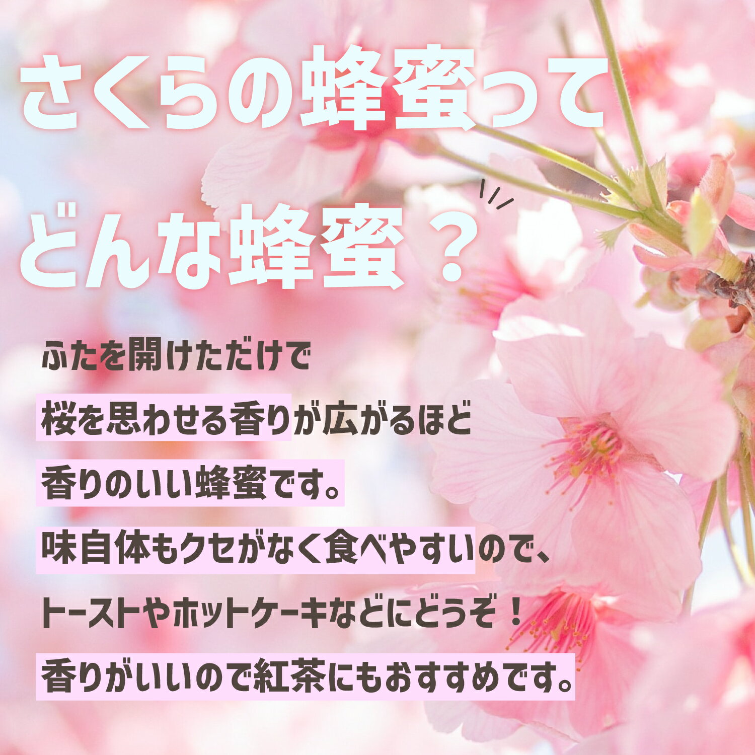 藤原養蜂場 本店から直送 藤原国産蜂蜜 桜 ポリ容器 120g 国産 蜂蜜 はちみつ ハチミツ 純粋はちみつ 楽天市場公式ショップ はちみつ専門店 老舗 盛岡 ふじわら さくらの花 ギフト 抗菌 健康 免疫 ハニー 桜の花の蜂蜜 サクラ 明治34年創業 非加熱 美味しい蜂蜜 3