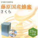 送料無料 藤原養蜂場 本店から直送 藤原国産蜂蜜 桜 業務用 一斗缶入り 23kg はちみつ ハチミツ 純粋はちみつ 楽天市場公式ショップ はちみつ専門店 老舗 盛岡 ふじわら さくらの花 ギフト 抗菌 健康 免疫 ハニー 桜の花の蜂蜜 サクラ 明治34年創業 非加熱 美味しい蜂蜜