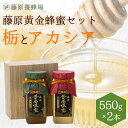 【公式】藤原黄金蜂蜜 栃(とち)とアカシアのハチミツ 2本セット各550g ガラス瓶入り 栃の木 アカシア 蜂蜜 はちみつ ハチミツ 純粋はちみつ 国産 はちみ...