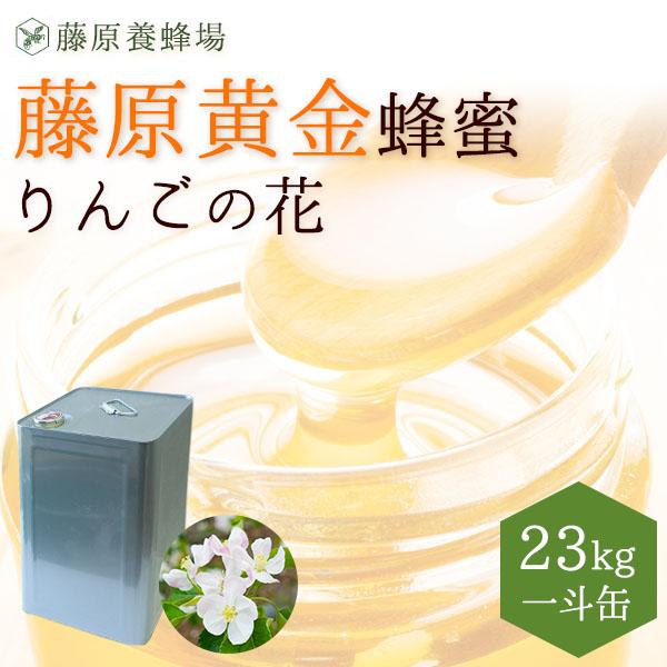 【公式】送料無料 藤原養蜂場 藤原黄金蜂蜜 りんご 業務用 23kg 一斗缶入り蜂蜜 はちみつ ハチミツ 純粋はちみつ 楽天市場公式ショップ はちみつ専門店 老舗 盛岡 ふじわら りんごの花 ギフト 抗菌 健康 免疫 ハニー リンゴ 明治34年創業 非加熱 美味しい蜂蜜