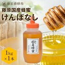 【公式】送料無料 藤原養蜂場 本店から直送 藤原国産蜂蜜 けんぽなし ポリ容器 1000g 国産 蜂蜜 はちみつ ハチミツ 純粋はちみつ 楽天市場公式ショップ ...