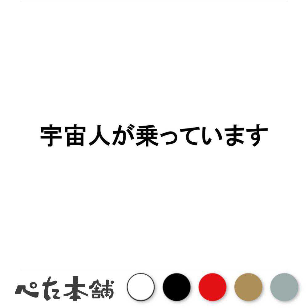 カッティングステッカー 宇宙人が乗っています 車 バイク トラック おもしろ 運転 地球外生命体 乗車 ロケット 走り屋 UFO 特大 大きい