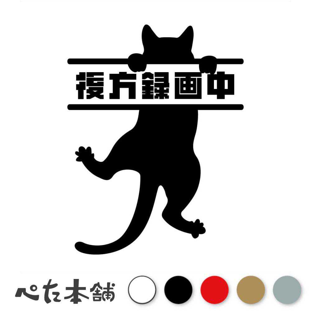 カッティングステッカー 後方録画中 ぶら下がる猫 ドラレコ かわいい 車 ドライブレコーダー 煽り運転 トラック 安全運転 バイク シール 特大 大きい