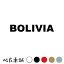 カッティングステッカー BOLIVIA ボリビア 国名 英語 シール 地名 地域名 国旗 世界 BOL 特大 大きい 698円