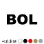 カッティングステッカー BOL ボリビア 国名コード Bolivia シール 地名 国旗 世界 特大 大きい 698円