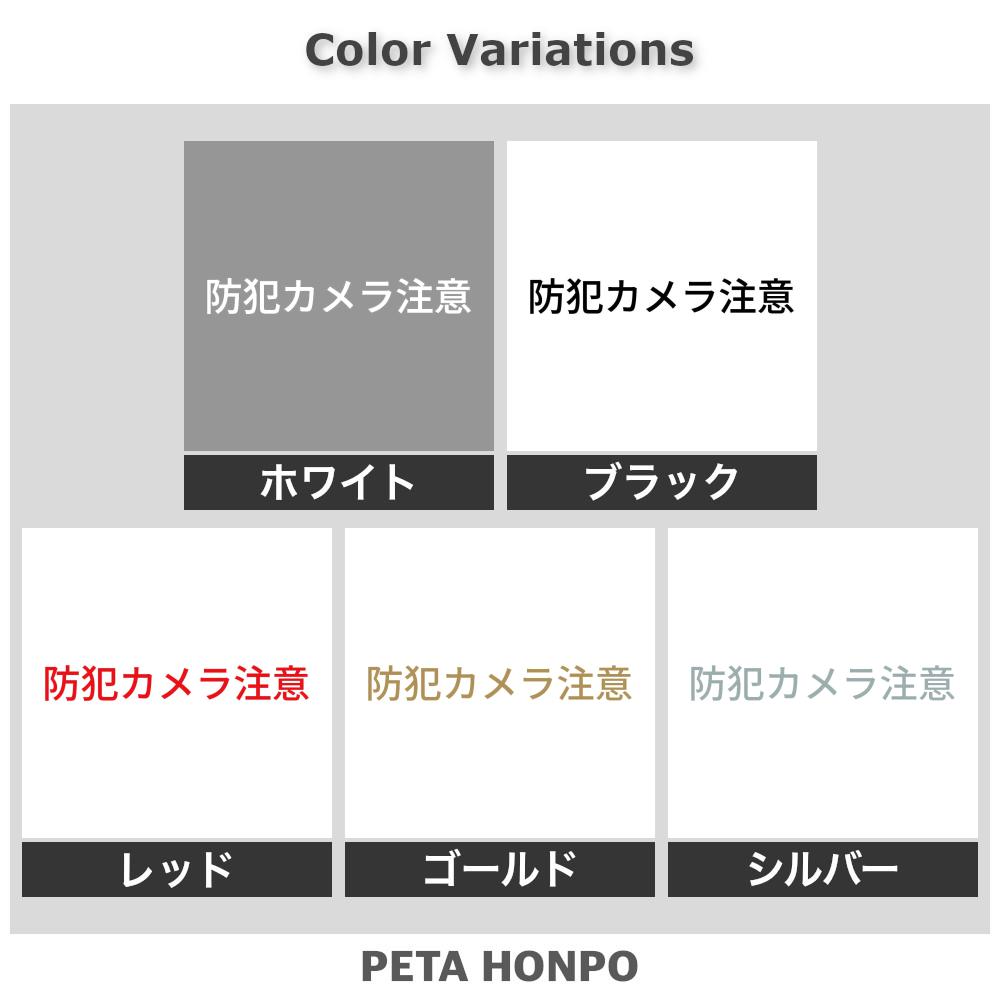 カッティングステッカー 防犯カメラ注意 監視カメラ 録画中 シール 特大 大きい