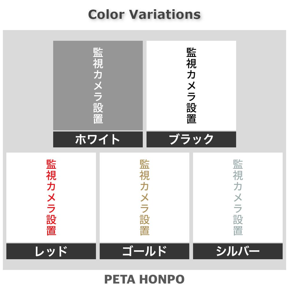 カッティングステッカー 監視カメラ設置 縦 防犯カメラ 録画中 シール 縦 特大 大きい