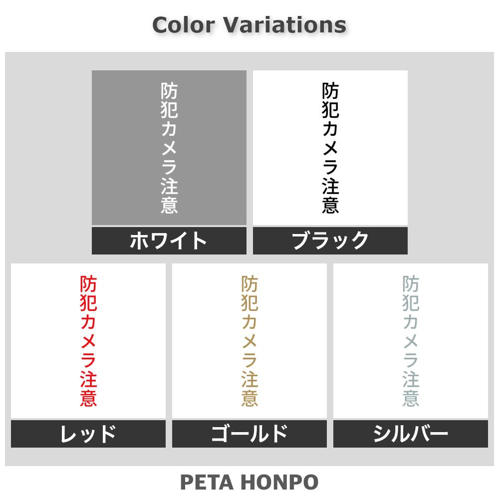 カッティングステッカー 防犯カメラ注意 縦 監視カメラ 録画中 シール 縦 特大 大きい