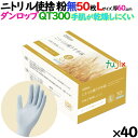 ニトリルグローブ 手肌乾燥しにくい QT300 粉なし Lサイズ 50 枚×40小箱/ケース ダンロップ 9633