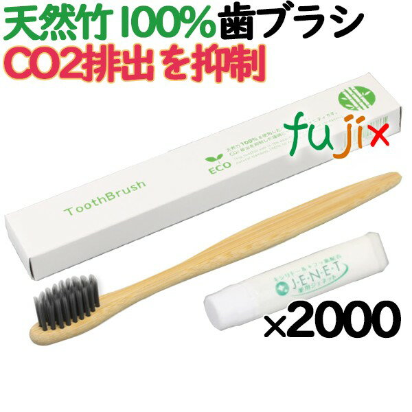 歯ブラシ ホテルアメニティ 竹製ハブラシ ソリッドB-100歯磨き粉付 PO箱 2000本（1000本（250本×4箱）×2ケース分）