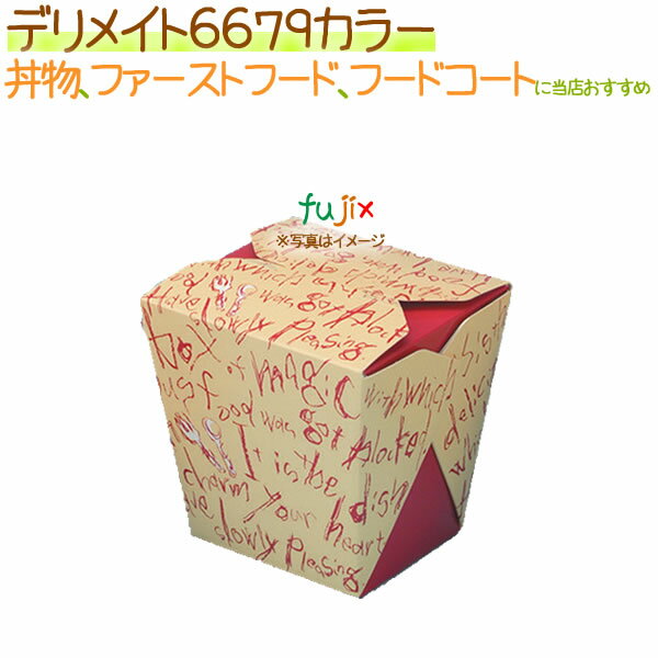 ǥᥤ 6679顼 300/