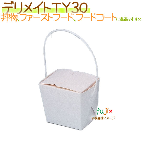 ǥᥤ TY30 300/