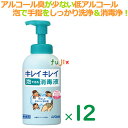 ライオン　キレイキレイ薬用泡で出る消毒液　550mL×12本