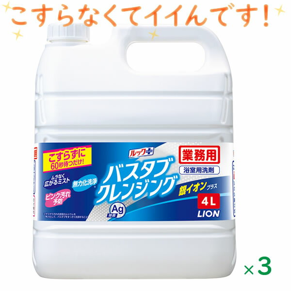 CRAFTSMANSHIP お風呂まるごと洗浄剤（2回分） 300g×2袋 ×2個