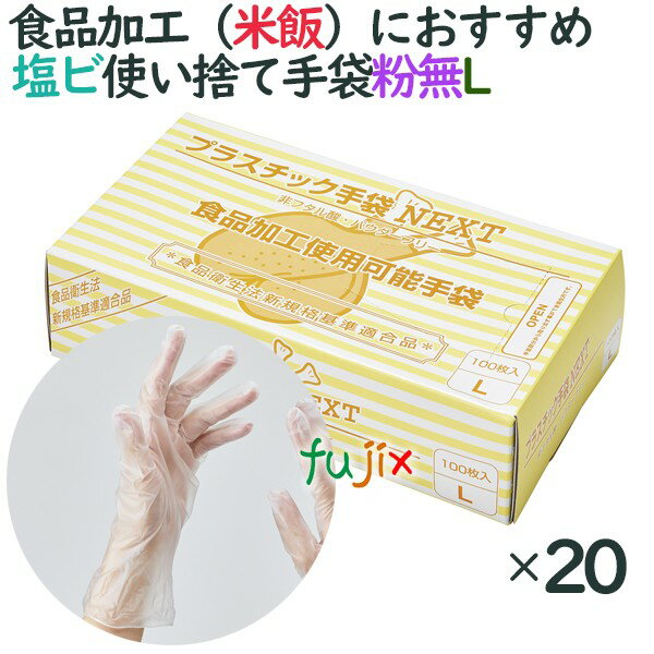 プラスチックグローブ　粉なし　プラスチック手袋 NEXT　パウダーフリー　Lサイズ　2000枚（100枚×20小箱）／ケース