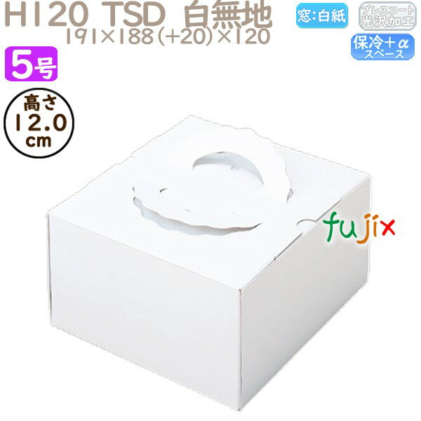 ǥ졼󥱡Ȣ H120 TSD̵ 5 100ġ O10130 Ȣ̳