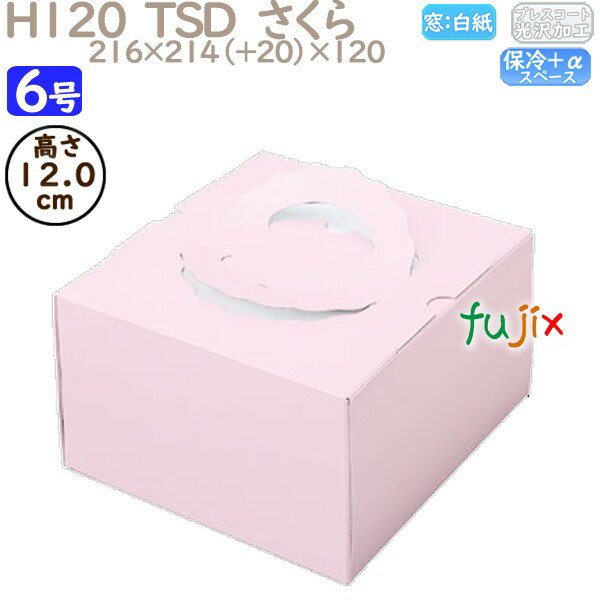 ǥ졼󥱡Ȣ H120 TSD 6 100ġ O20340 Ȣ̳