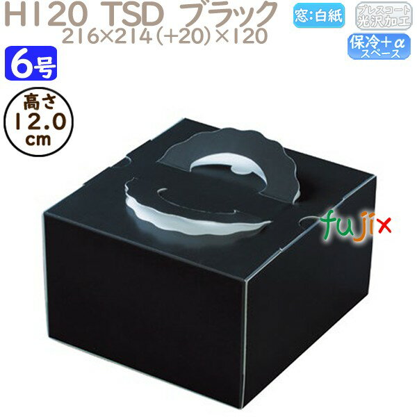 ǥ졼󥱡Ȣ H120 TSD֥å 6 100ġ O20440 Ȣ̳