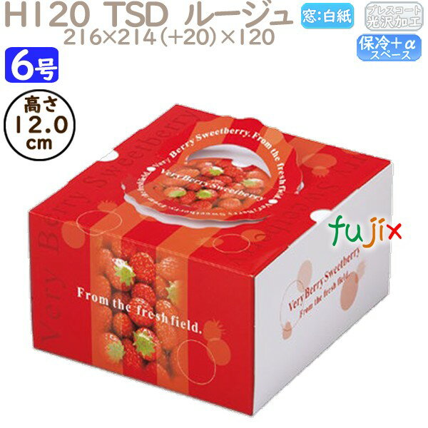 ǥ졼󥱡Ȣ H120 TSD롼 6 100ġ O40240 Ȣ̳