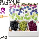 ぶどう 化粧箱 L-2369 彩りぶどう 3房 40個(10×4)/ケース フルーツ用 ギフト用 ギフトボックス 紙箱 果物箱 贈答用 青果用 果物用 ダンボー...