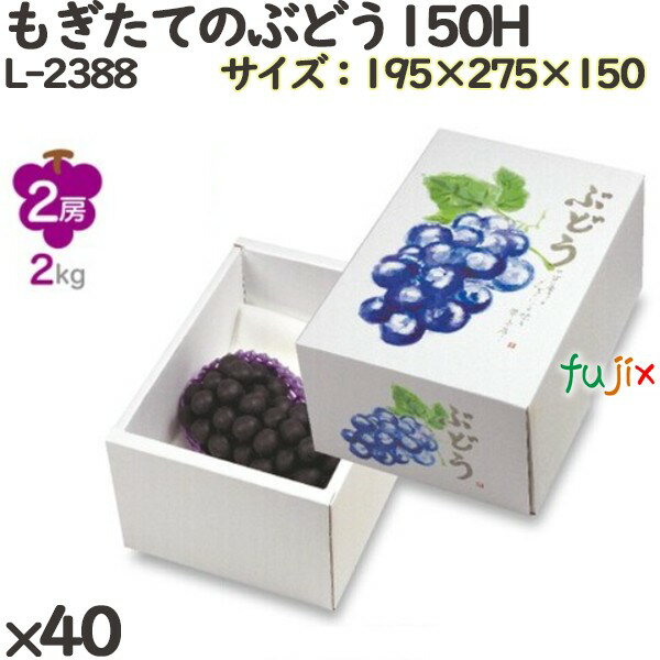 ֤ɤ Ȣ L-2388 ⤮ƤΤ֤ɤ150H 40(104) ե롼 ե եȥܥå Ȣ ʪȢ £ Ĳ ʪ ...