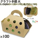 手提げ L-2480 クラフト手提 大 100個 フルーツ用 ギフト用