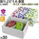 ぶどう 化粧箱 L-2487 彩りぶどう大 身深 30個(10×3)/ケース フルーツ用 ギフト用 ギフトボックス 紙箱 果物箱 贈答用 青果用 果物用 ダンボ...
