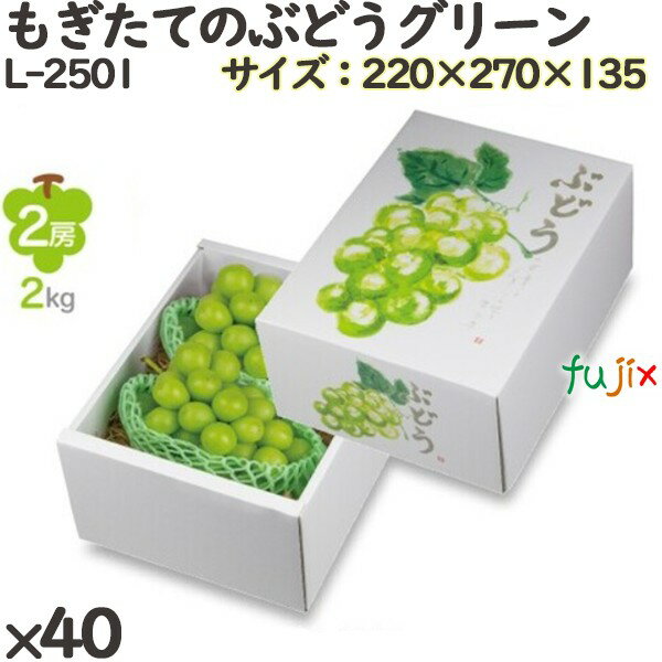 ぶどう 化粧箱 L-2501 もぎたてのぶどうグリーン 40個(10×4)/ケース フルーツ用 ギフト用 ギフトボックス 紙箱 果物箱 贈答用 青果用 果物用 ...
