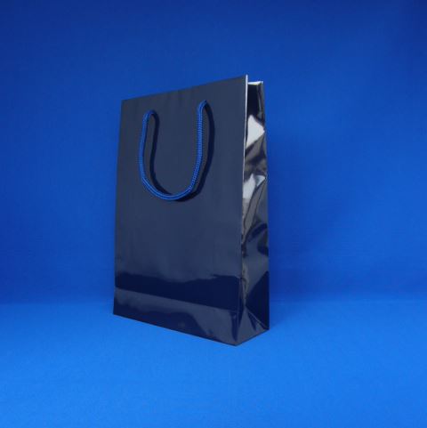 ʤޤȤ㤤˥⥸ ֥饤ȥХå SWT 纰 1 006138223 (1ޥ) 00062383 10祻åȡ̳͡ƻ졦ΥԲġ