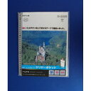 （まとめ買い）リヒトラブ クリヤーポケット A4 10枚入 グレー N-2006グ 00030707 〔×10〕【北海道・沖縄・離島配送不可】