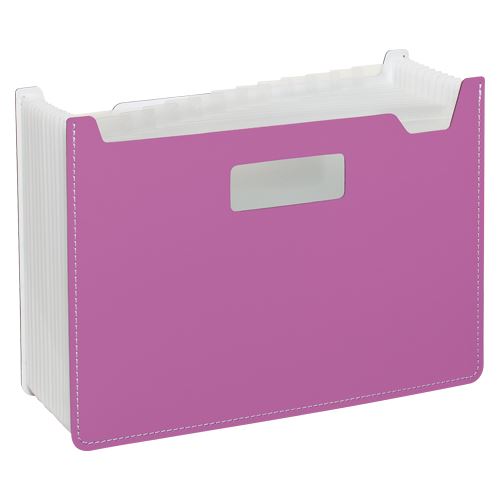 （まとめ買い）セキセイ ドキュメントスタンドA4ワイド13P 桃 FB-2380-21 ピンク 00007897 〔3冊セット〕【北海道・沖縄・離島配送不可】