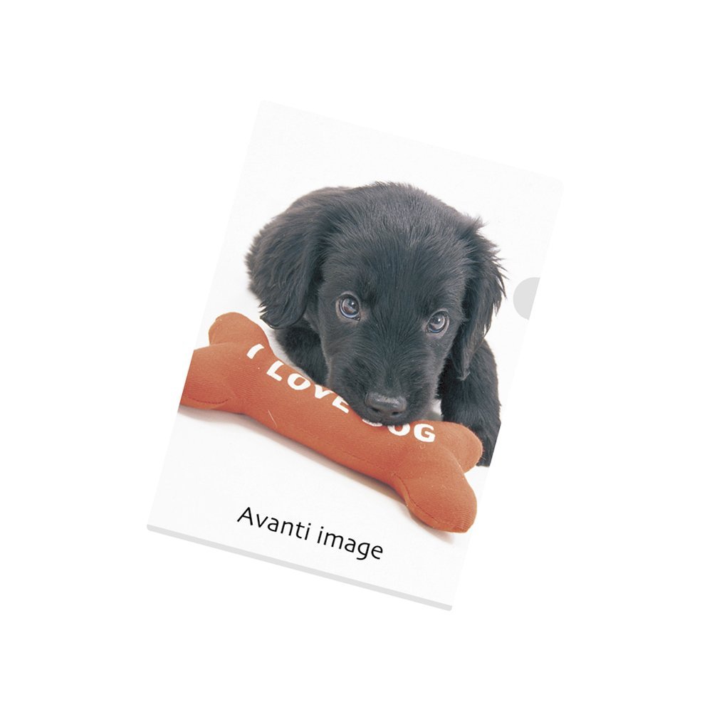 （まとめ買い）リヒトラブ クリヤーホルダー A4 フラットコーテッド F-3400-36 〔5枚セット〕【北海道・沖縄・離島配送不可】のサムネイル