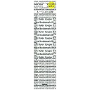 (まとめ買い)ナカバヤシ ルーペしおり定規 クリア DLR-C 〔10個セット〕 【北海道・沖縄・離島配送不可】