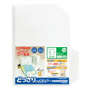 (まとめ買い)ナカバヤシ どっさり個別ホルダー A4 ワイド 1枚 CH-4133C 〔×10〕 【北海道・沖縄・離島配送不可】