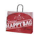 ササガワ 手提げ袋 HAPPYBAG 幅415×マチ110×高さ320mm 10枚入 50-6239 【北海道・沖縄・離島配送不可】